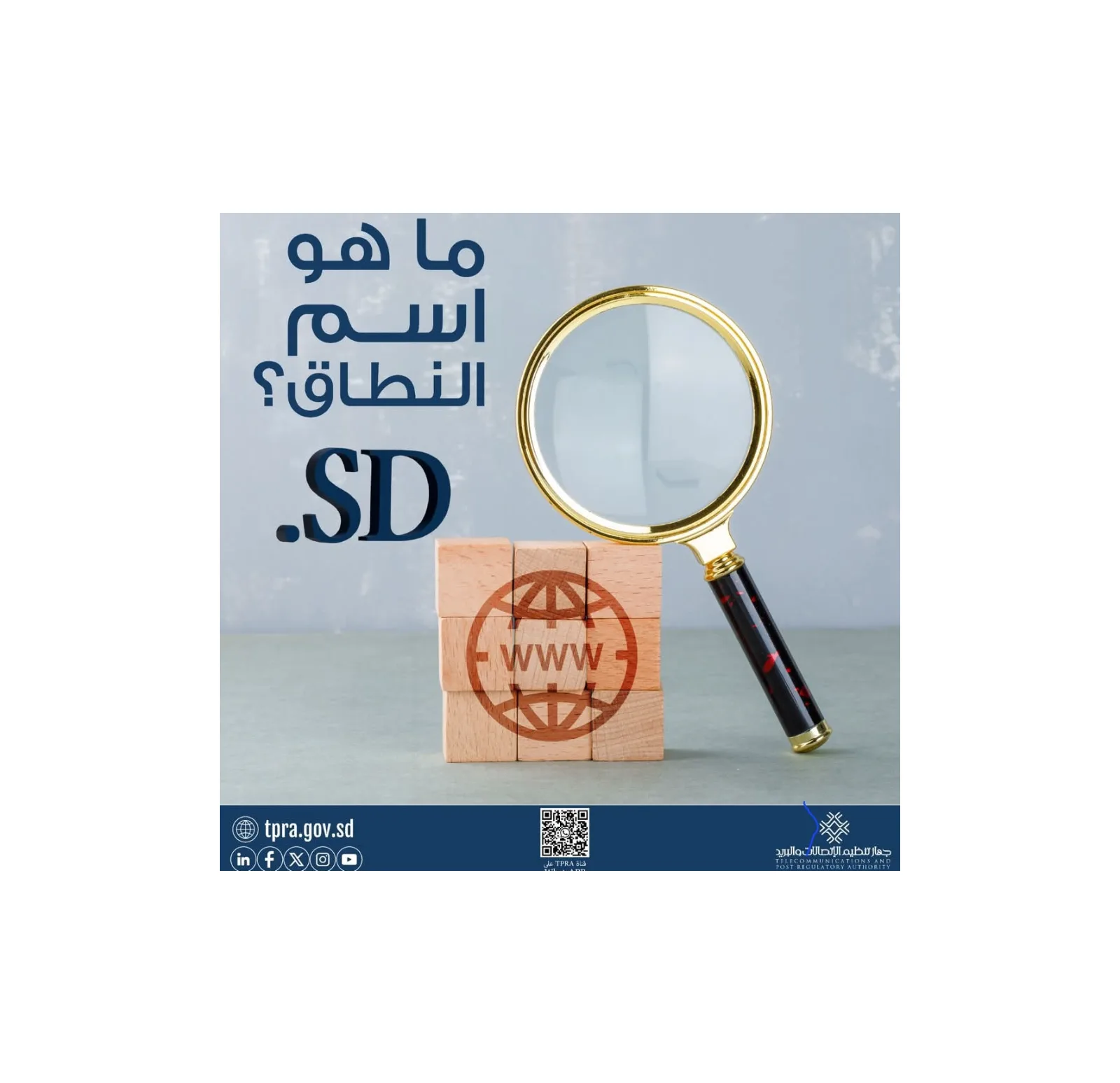 جهاز تنظيم الاتصالات والبريد يوضح أهمية أسماء النطاقات في تعزيز الهوية الرقمية